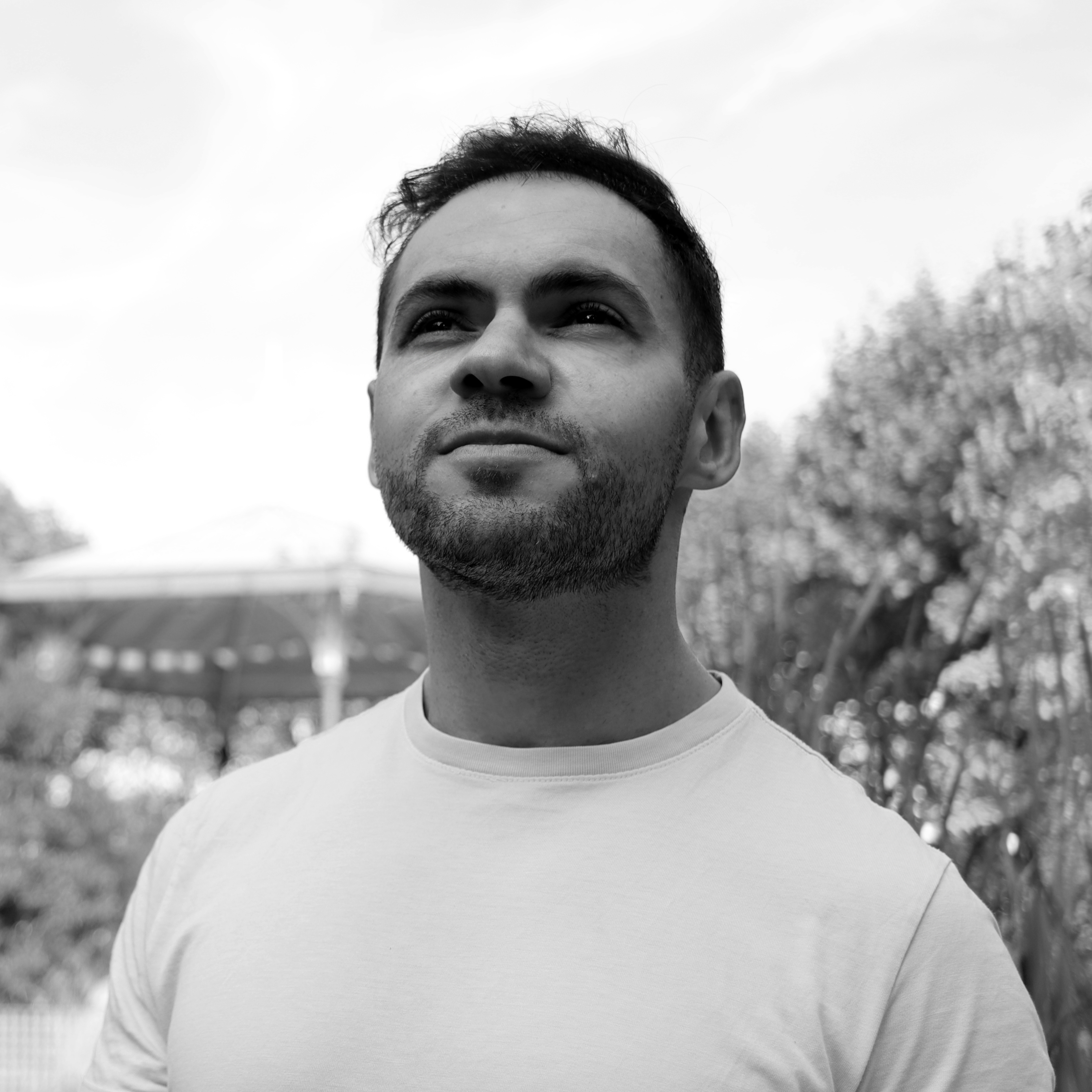 This image for Image Layouts addon